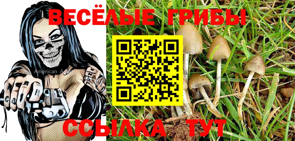 Псилоцибиновые грибы GOLDEN TEACHER Воскресенск